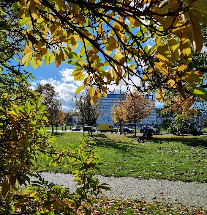 odz-podzim